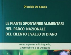 Libro di De Santis