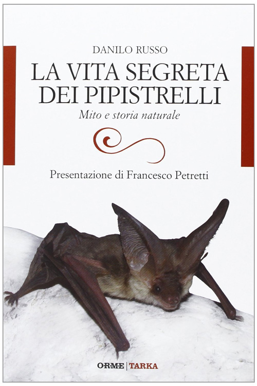 La vita segreta dei pipistrelli